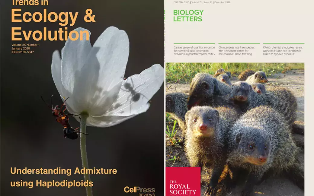 Check out our recent publications! | Evolution, Sociality & Behaviour |  University of Helsinki