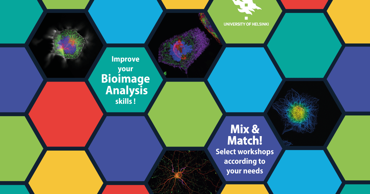 Bioimage Analysis Course 2020 | Bioimaging | University of Helsinki