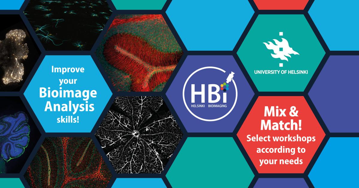 Bioimage Analysis Course 2022 | Bioimaging | University of Helsinki