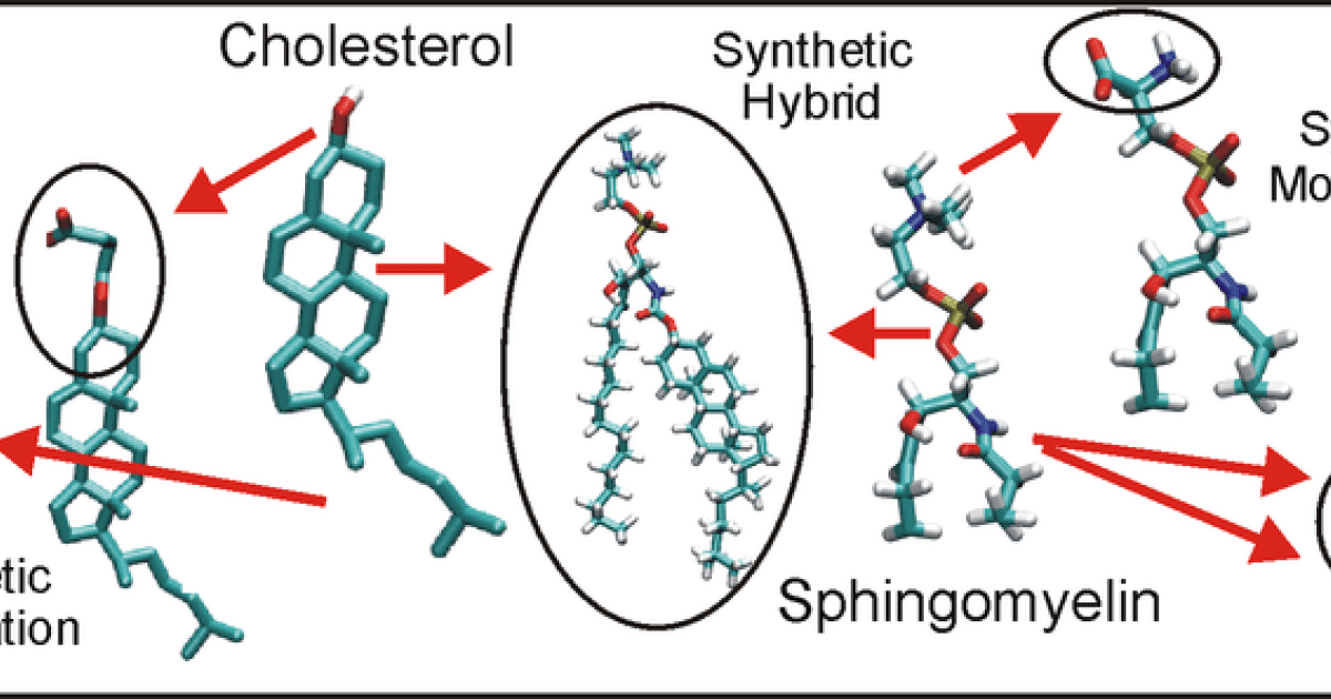 Functionalized lipids and surfactants for specific applications