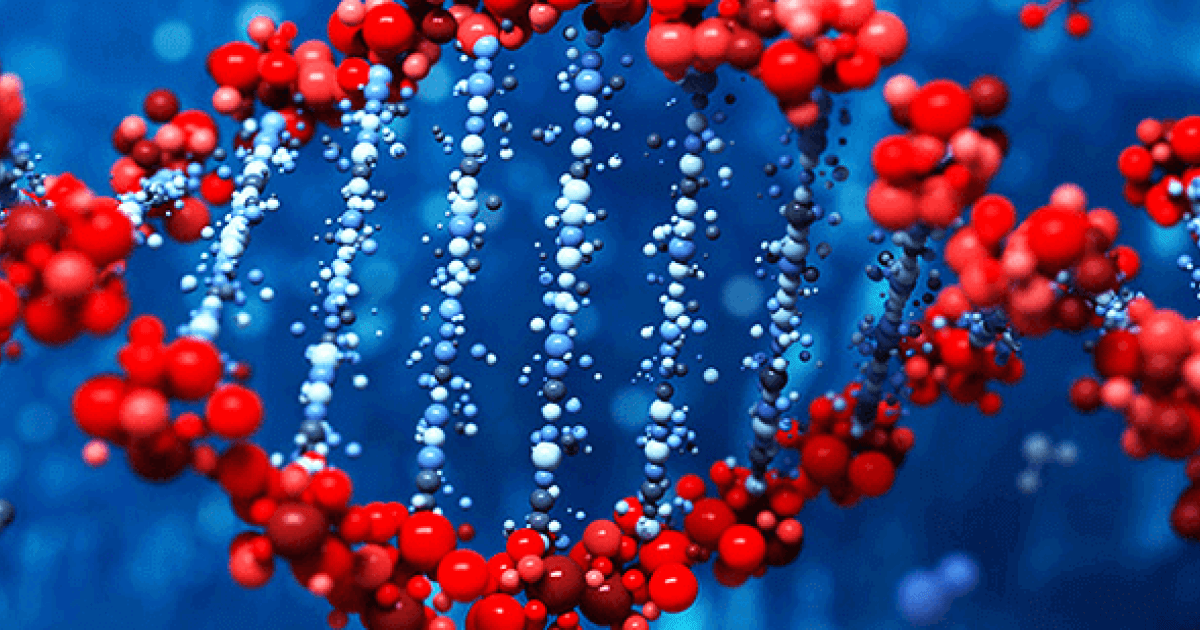 Center for Gene Regulation University of Helsinki