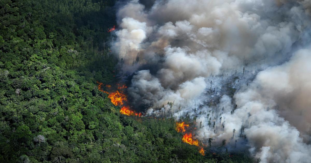 Environmental Change and Global Sustainability Master's programme