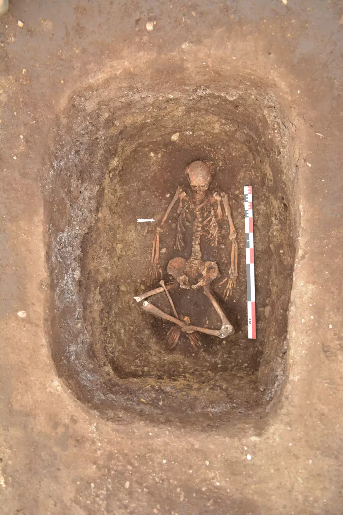 Yamnaya burial with skeleton at Ariceștii-Rahtivani