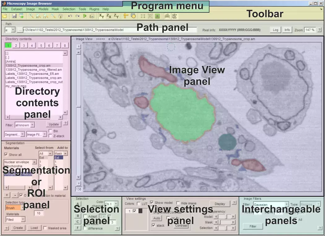 User interface of Microscopy Image Browser