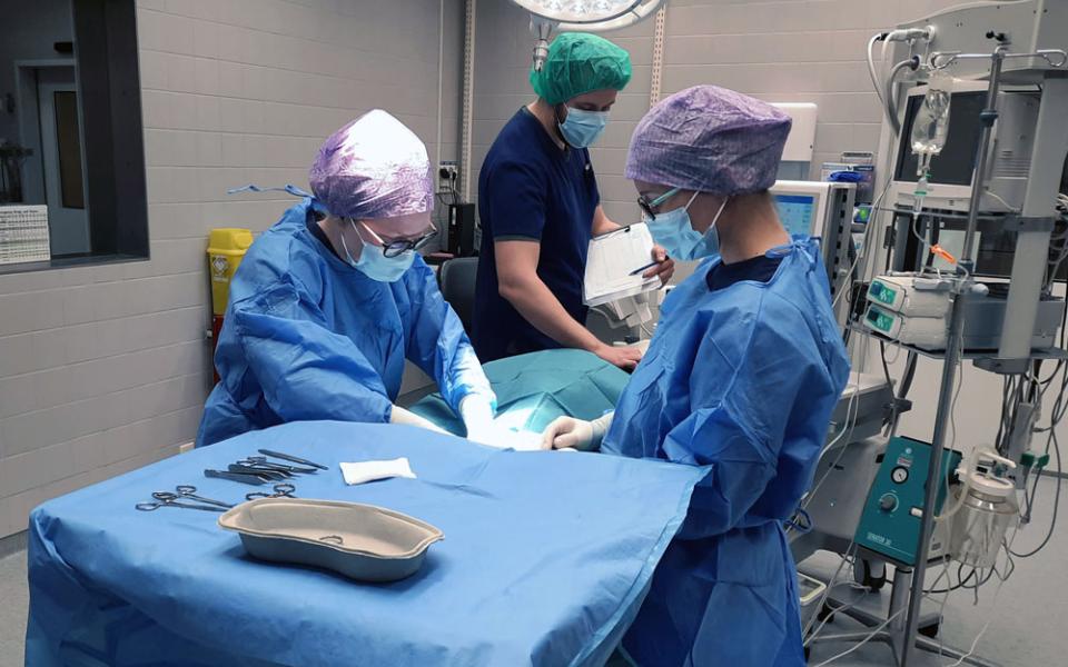 Small animal surgery | Faculty of Veterinary Medicine | University of Helsinki Small animal surgery | Faculty of Veterinary Medicine | University of Helsinki