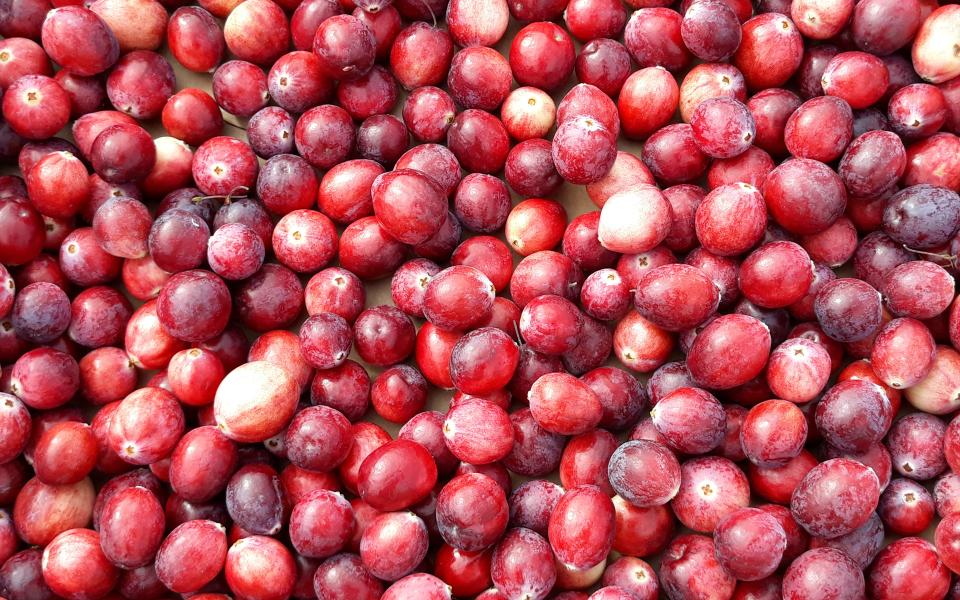 Research | Cranberry Science | University of Helsinki