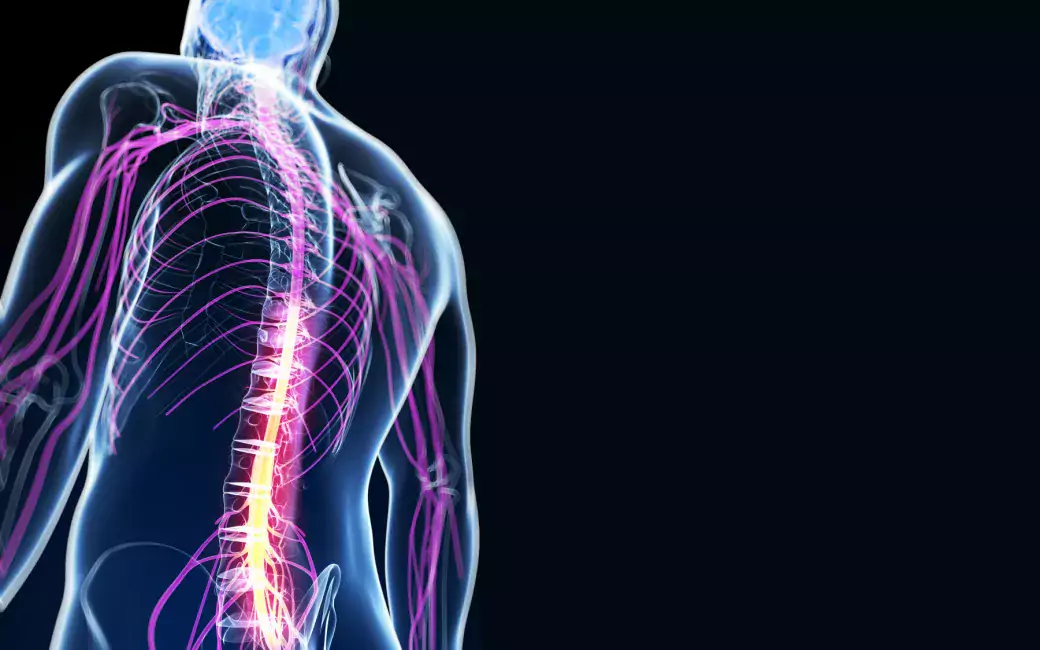 A strong saline solution can boost the delivery of morphine and other drugs  to the spinal cord | University of Helsinki