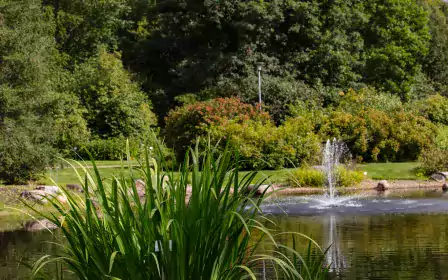 Kumpula Botanic Garden