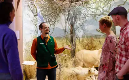 Guided tours for groups