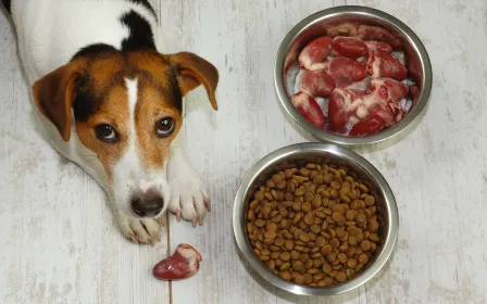 U yechindi va mushukining fotosuratini korsatdi.