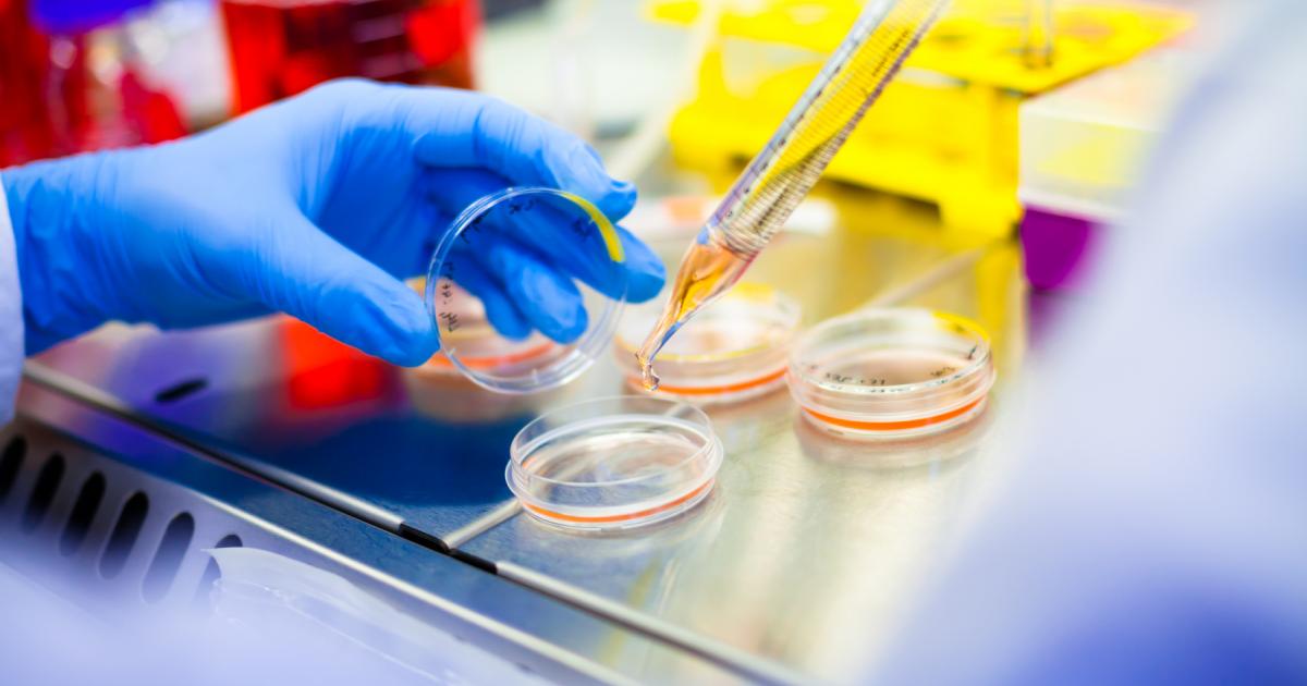 Researchers discover dozens of defects important for immune