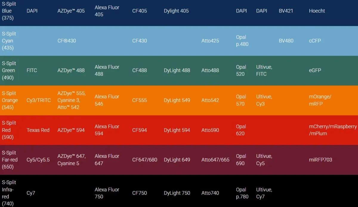 fluorescence filters for Olympus scanner